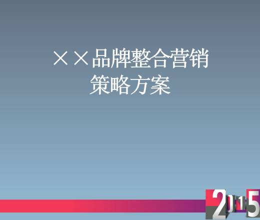 某地板品牌整合营销策略方案65页预览图片