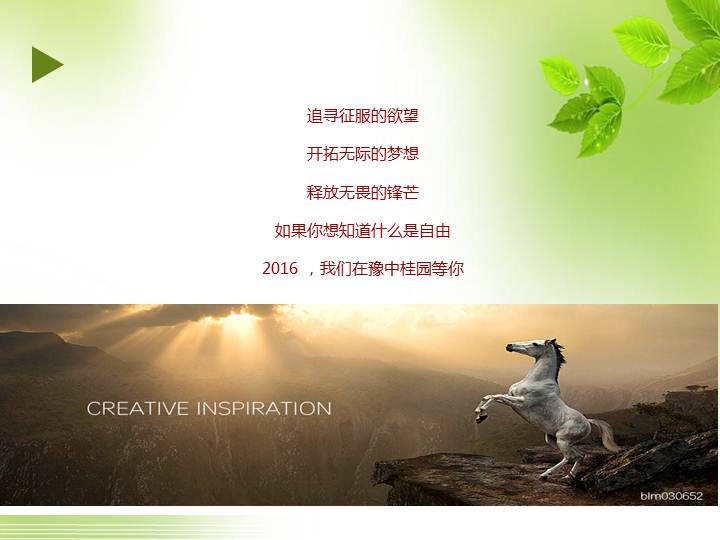 活动背景分析 活动策划与亮点 活动氛围营造 推广计划与费用预算 内容框架 当跑步成为了城市生活中的一种生活方式,越来越多人开始关注它。它可以张扬个性、释放压力、也可以为此收获更多的快乐、帮助更多的人。在河南在许昌,它每天都在我们身边发生。