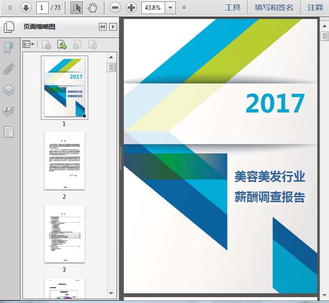 收入证明_美容行业收入(2)