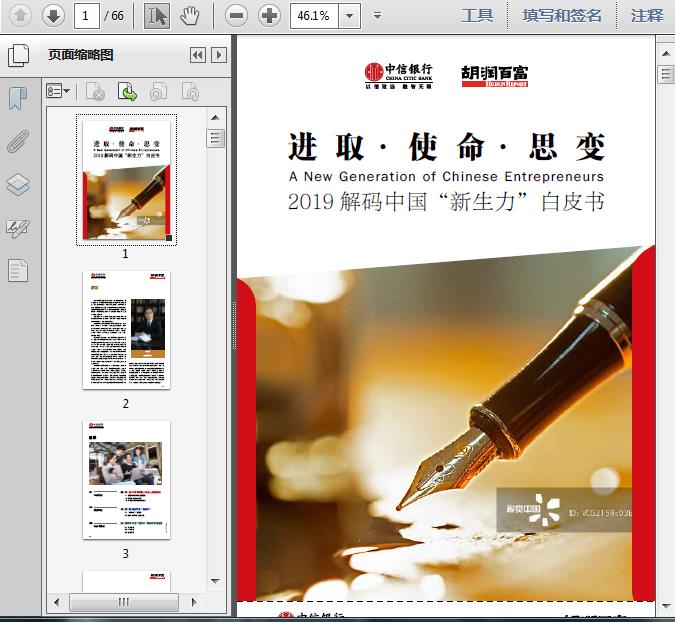 2019解码中国“新生力”白皮书66页预览图片