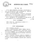河南ZP融资担保公司章程（扫描版）15页 