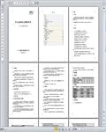 安装工程公司职业健康安全管理手册226页