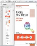 网络营销：SEM（搜索引擎营销）数据分析及案例209页 