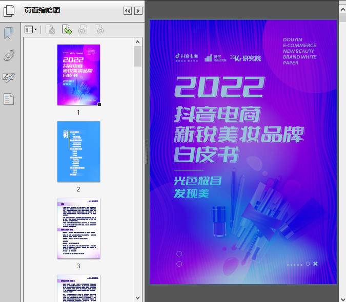 2022抖音电商新锐美妆品牌白皮书(算数、36氪)41页预览图片