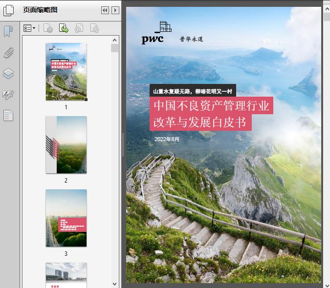 中国不良资产管理行业改革与发展白皮书2022(普华永道)112页预览图片